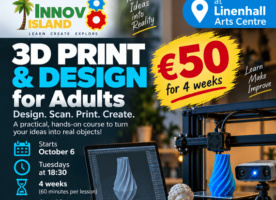 3 D Print Adults optimized 1000