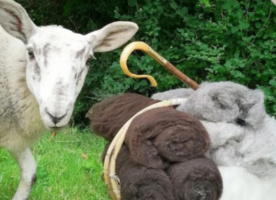 Soil to Spindle