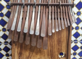 Mayo Mbira Project Image 2026 optimized 1000