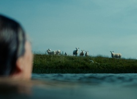 NOTES FROM SHEEPLAND HIGH RES IMAGES FOR FESTIVALS 14 50