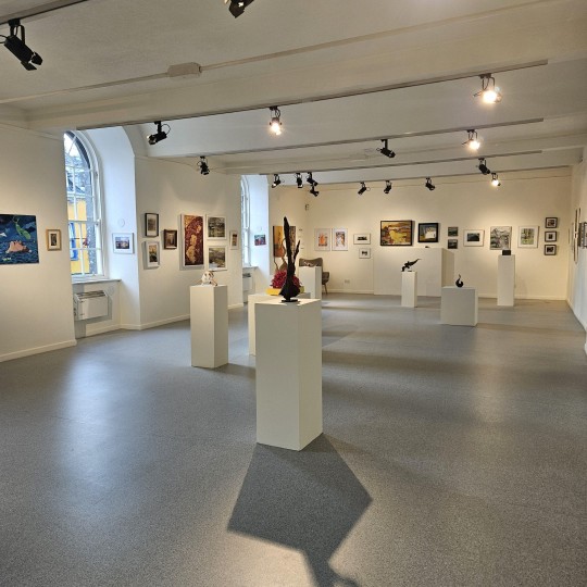 Mayo Artists Show 2025
