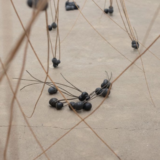 Blot on the Landscape Vivian Hansbury