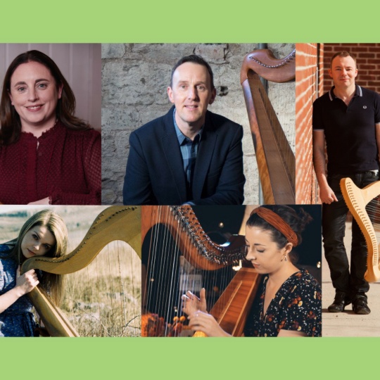 Harps Alive Linenhall artists Edit