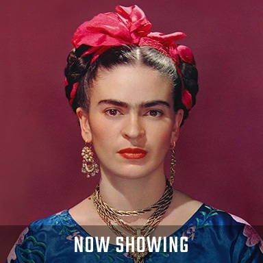 Frida Kahlo Sat 21 Nov 1pm 10e