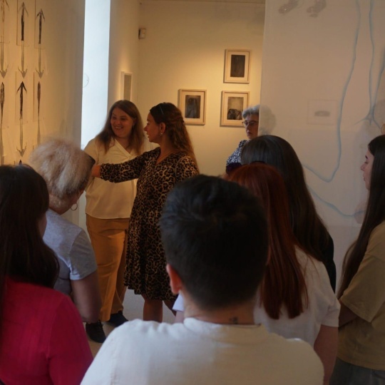Gallery Tour at Linenhall Castlear 2025 Pic by I Hardesty