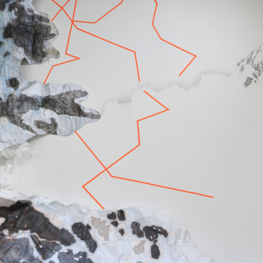 Laura Kelly Linenhall