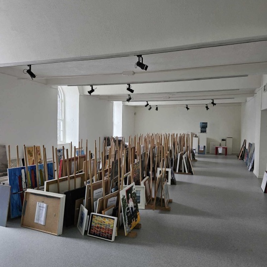Mayo Artists Show 2023
