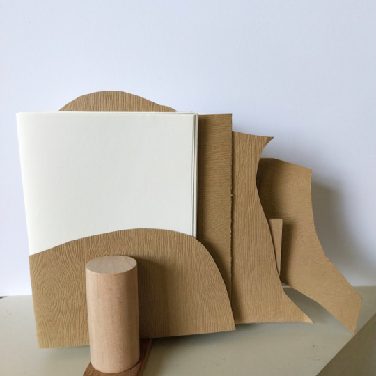Book as an object Viola Chiang