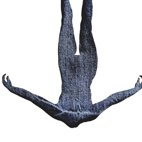 Dive sharon kelly